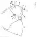 Fig. 06 - Concealed and discreet security pocket