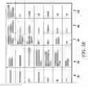 Fig. 04 - Facilitating interoperability among communication systems via inter- and intra-agency communications using a shared network