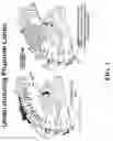 Fig. 02 - Virtual reality entertainment system for treatment of phantom limb pain and methods for making and using same