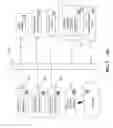 Fig. 09 - Accessory for presenting information associated with an application
