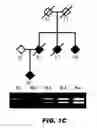 Fig. 03 - Sequences associated with TDP-43 proteinopathies and methods of using the same