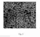 Fig. 04 - Centroid markers for image analysis of high denisty clusters in complex polynucleotide sequencing