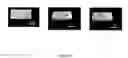 Fig. 19 - SHAPE MEMORY COMPOSITION COMPRISING STARCH