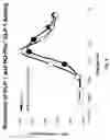 Fig. 03 - ESTER-BASED PEPTIDE PRODRUGS