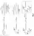 Fig. 04 - ESTER-BASED PEPTIDE PRODRUGS