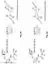 Fig. 06 - ESTER-BASED PEPTIDE PRODRUGS