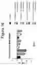 Fig. 19 - ESTER-BASED PEPTIDE PRODRUGS