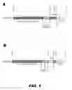 Fig. 02 - METHODS AND COMPOSITIONS FOR MODULATING INSULIN REGULATION