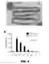 Fig. 06 - METHODS AND COMPOSITIONS FOR MODULATING INSULIN REGULATION