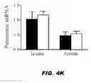 Fig. 11 - METHODS AND COMPOSITIONS FOR MODULATING INSULIN REGULATION
