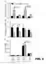 Fig. 12 - METHODS AND COMPOSITIONS FOR MODULATING INSULIN REGULATION