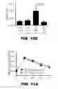 Fig. 19 - METHODS AND COMPOSITIONS FOR MODULATING INSULIN REGULATION