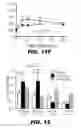 Fig. 22 - METHODS AND COMPOSITIONS FOR MODULATING INSULIN REGULATION