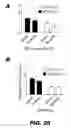 Fig. 41 - METHODS AND COMPOSITIONS FOR MODULATING INSULIN REGULATION