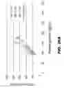 Fig. 43 - METHODS AND COMPOSITIONS FOR MODULATING INSULIN REGULATION