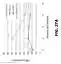 Fig. 46 - METHODS AND COMPOSITIONS FOR MODULATING INSULIN REGULATION