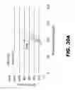 Fig. 53 - METHODS AND COMPOSITIONS FOR MODULATING INSULIN REGULATION
