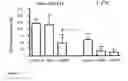 Fig. 02 - Compositions and methods for visualizing and eliminating cancer stem cells