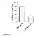 Fig. 05 - Compositions and methods for visualizing and eliminating cancer stem cells