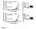 Fig. 06 - Compositions and methods for visualizing and eliminating cancer stem cells