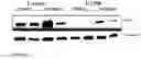 Fig. 07 - Compositions and methods for visualizing and eliminating cancer stem cells