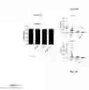 Fig. 11 - Compositions and methods for visualizing and eliminating cancer stem cells