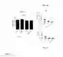 Fig. 12 - Compositions and methods for visualizing and eliminating cancer stem cells