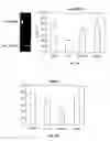 Fig. 05 - Clusterin Pharmaceuticals and Treatment Methods Using the Same