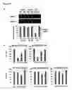 Fig. 06 - Clusterin Pharmaceuticals and Treatment Methods Using the Same