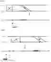 Fig. 11 - Compositions and Methods for Modulating Neuron Degeneration and Neuron Guidance