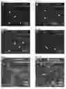 Fig. 17 - Compositions and Methods for Modulating Neuron Degeneration and Neuron Guidance