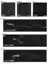 Fig. 18 - Compositions and Methods for Modulating Neuron Degeneration and Neuron Guidance