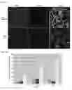 Fig. 19 - Compositions and Methods for Modulating Neuron Degeneration and Neuron Guidance