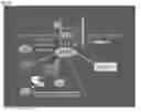 Fig. 25 - Compositions and Methods for Modulating Neuron Degeneration and Neuron Guidance