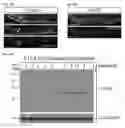 Fig. 52 - Compositions and Methods for Modulating Neuron Degeneration and Neuron Guidance