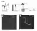 Fig. 54 - Compositions and Methods for Modulating Neuron Degeneration and Neuron Guidance