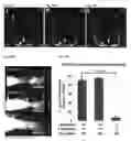 Fig. 57 - Compositions and Methods for Modulating Neuron Degeneration and Neuron Guidance