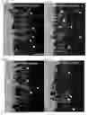 Fig. 68 - Compositions and Methods for Modulating Neuron Degeneration and Neuron Guidance