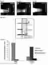 Fig. 75 - Compositions and Methods for Modulating Neuron Degeneration and Neuron Guidance