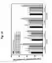 Fig. 35 - Peptides isolated from spider venom, and uses thereof