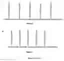 Fig. 04 - Use of multivalent synthetic ligands of surface nucleolin for treating cancer or inflammation