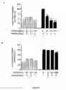 Fig. 06 - Use of multivalent synthetic ligands of surface nucleolin for treating cancer or inflammation