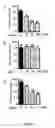 Fig. 09 - Use of multivalent synthetic ligands of surface nucleolin for treating cancer or inflammation