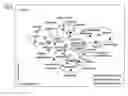 Fig. 08 - DOPAMINERGIC MIMETICS