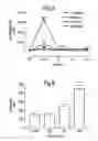 Fig. 09 - DOPAMINERGIC MIMETICS