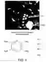 Fig. 04 - Kinase protein binding inhibitors