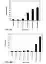 Fig. 07 - Kinase protein binding inhibitors