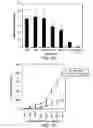 Fig. 09 - Kinase protein binding inhibitors