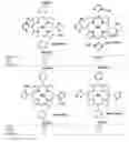 Fig. 01 - Substituted porphyrins