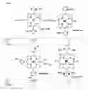 Fig. 04 - Substituted porphyrins